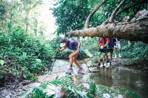 BIB: 
                            <button type="button" onclick="openModal(25439216)" class="btn btn-primary btn-sm float-right btn-popup" data-toggle="modal" data-target=".modal-high-quality">
                        <i class="fas fa-shopping-cart"></i> Add to Cart
                    </button>
                                            <button type="button" onclick="isThisMe(25439216, true)" class="btn btn-success btn-sm float-right btn-popup btn-isme hidden" data-toggle="tooltip" data-placement="bottom" title="นี่คือรูปของคุณใช่ไหม คลิกที่นี่เพื่อเอาเข้าอัลบั้ม">
                        <i class="fas fa-plus"></i> Add to album
                    </button>
                    <button type="button" onclick="isThisMe(25439216, false)" class="btn btn-warning btn-sm float-right btn-popup btn-isnotme hidden">
                        <i class="fas fa-ban"></i> Remove from album
                    </button>